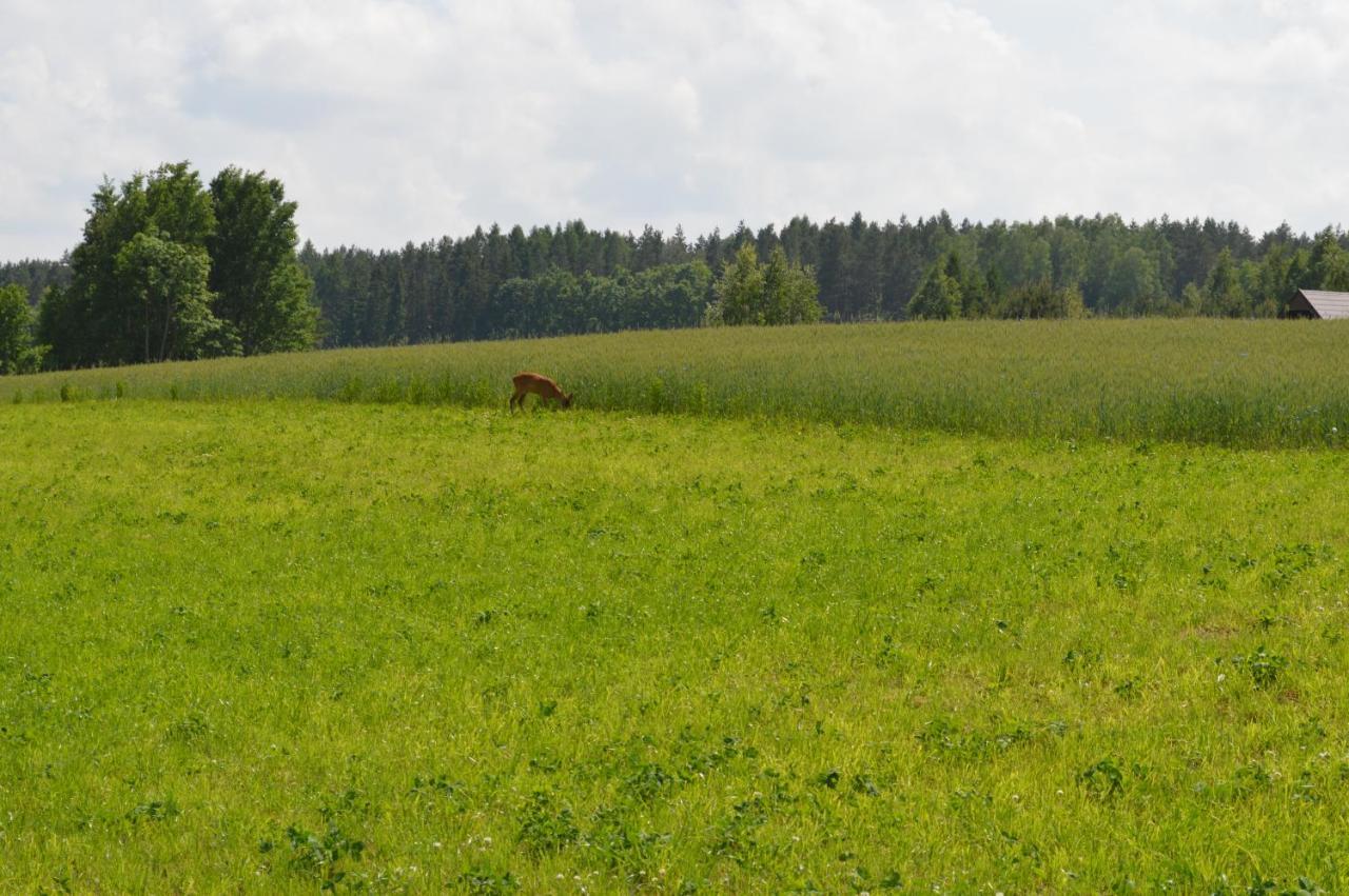 Ranczo W Naguszewie- Domek Letniskowy Naguszewo Экстерьер фото